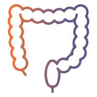 Виртуальная колоноскопия кишечника в Москве
